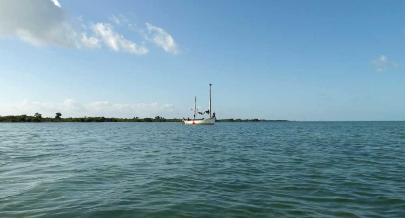 From a distance, a sailboat floats on water under a blue sky.